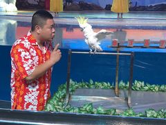 -三亚海昌梦幻海洋不夜城