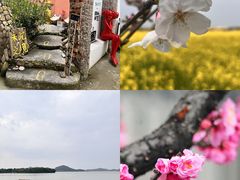 -金沙湖旅游度假区
