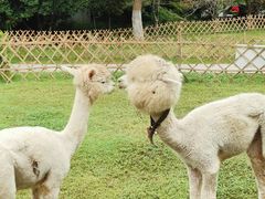 -南山风景名胜区