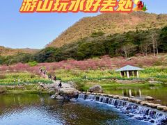 -广州市石门国家森林公园