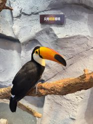 -Zoolung Zoolung动物主题公园(海信广场店)