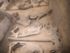 -洛阳周王城天子驾六博物馆