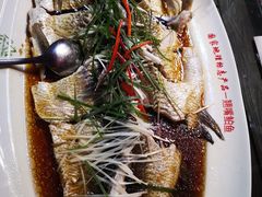 -丹江渔村(望京店)