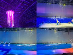-上海海昌海洋公园
