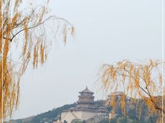 -颐和园
