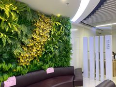 -中国银行自助银行(上海市卢湾支行营业部)