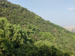 -杭州半山国家森林公园