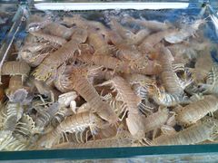 -江杨农产品批发市场