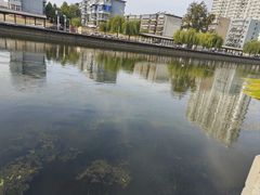 -西清公园