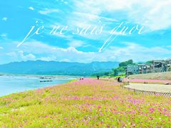 -木洞河街