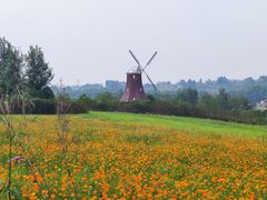 -紫颐香薰山谷景区