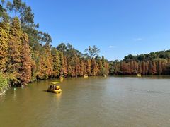 -星湖旅游景区七星岩