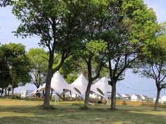 -茉沏(丽丰广场店)