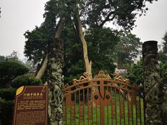 -国恩寺
