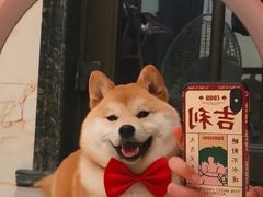 -泰合玺·精油按摩(河西龙湖天街店)