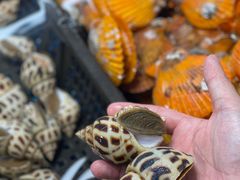 -钱山海鲜大排档