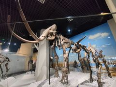 -国家自然博物馆