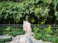-杭州黄龙洞