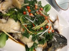 -到家尝北京菜(西坝河店)