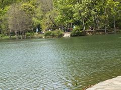 -紫霞湖公园