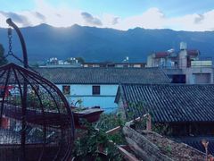 -喵屿·大理花园猫咖