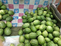 -西瓜小镇