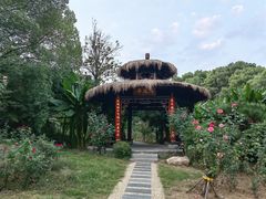 -东湖落雁景区