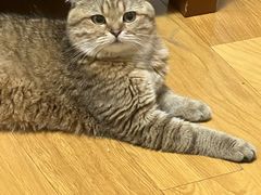 -中农国际动物医院24小时·猫科·骨科·急重症中心