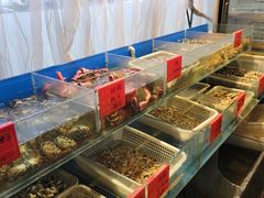 -华盛丰温州大排档(东三环南路店)