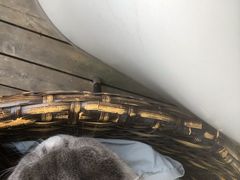 -奇醜的猴子咖啡(财信广场店)