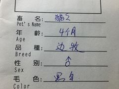 -申普宠物医院·眼科·心内科·影像科(普陀分院)