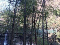 -溪口-滕头旅游景区