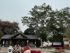 -大湾区中央湿地公园