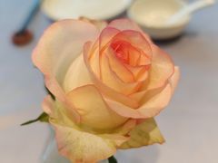 -南堂馆·新川菜(悠方店)