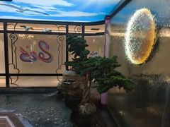 -57度湘(王府井10F店)