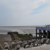 奉贤海湾
