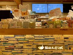 -猫的天空之城概念书店(丽江古城饮玉巷店)