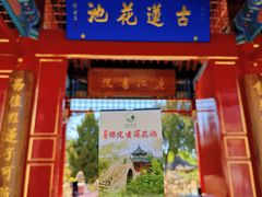 -莲池书院博物馆