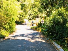 -墨尔本皇家植物园