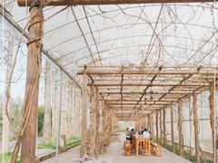 -前小桔亲子创意农场·草莓采摘·露营烧烤