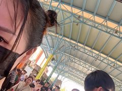 -杭州浪浪浪水公园