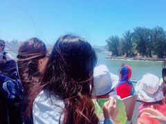 -阿尔卡特拉斯岛