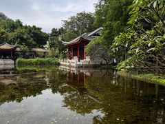 -顺峰山公园