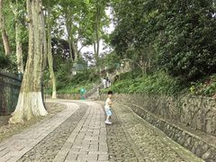 -紫金山天文台