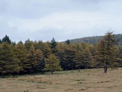 -芦芽山旅游度假区