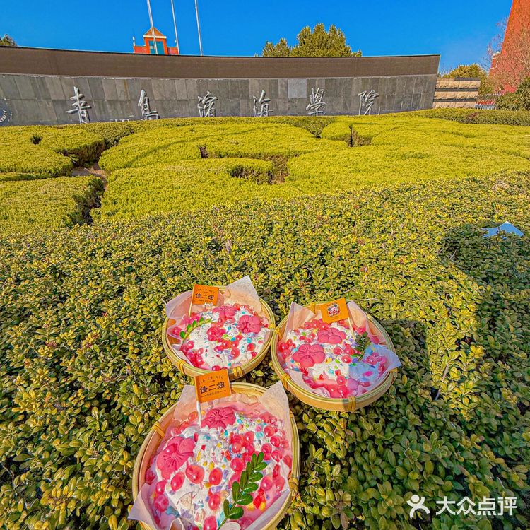 在青岛！！吃到了我的人生东北菜！！