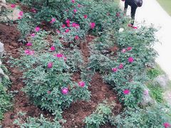 -人民公园(罗湖区)