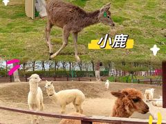 -盈香心动乐园
