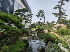 -罗红摄影艺术馆