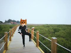 -北海金海湾红树林生态旅游区